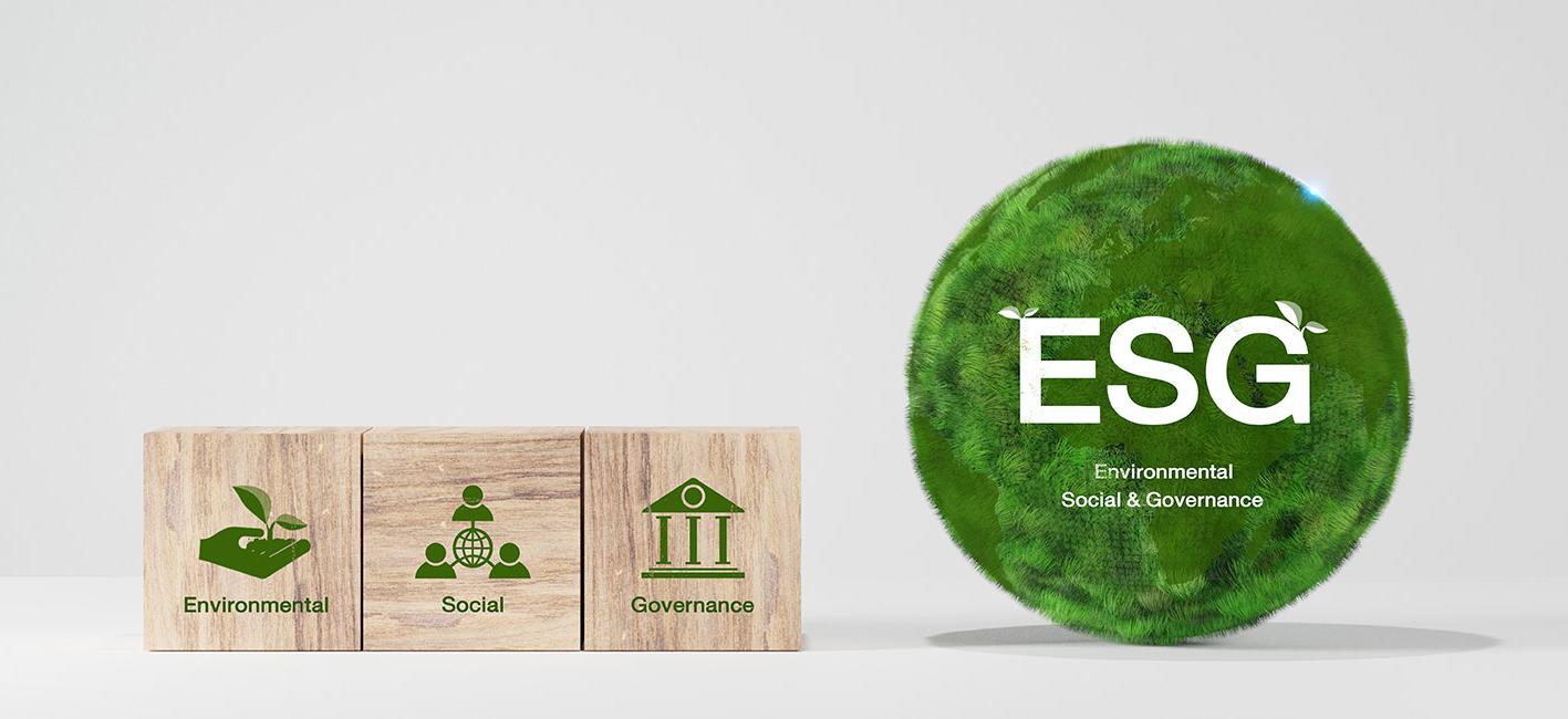 The EU’s Deforestation Regulation – Recent Updates